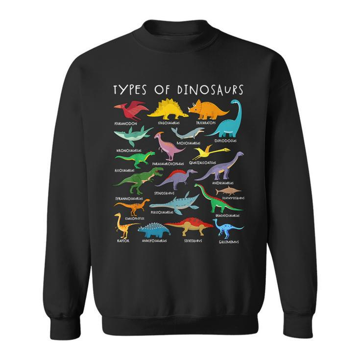 Dinosaur Lover Types Of Dinosaurs Different Dinosaurs  Sweatshirt