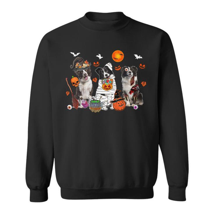 Dog Border Collie Three Border Collie Dogs Witch Scary Mummy Halloween Zombie Sweatshirt