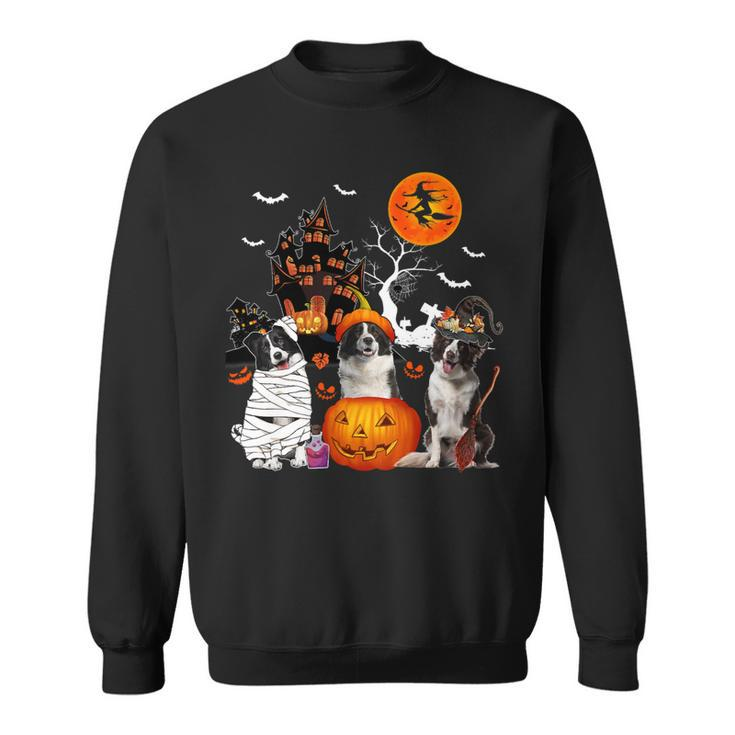 Dog Border Collie Three Border Collies Halloween Mummy Scary Witch Lover Owner Sweatshirt