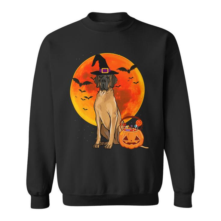 Dog Halloween Brown Great Dane Jack O Lantern Pumpkin Sweatshirt