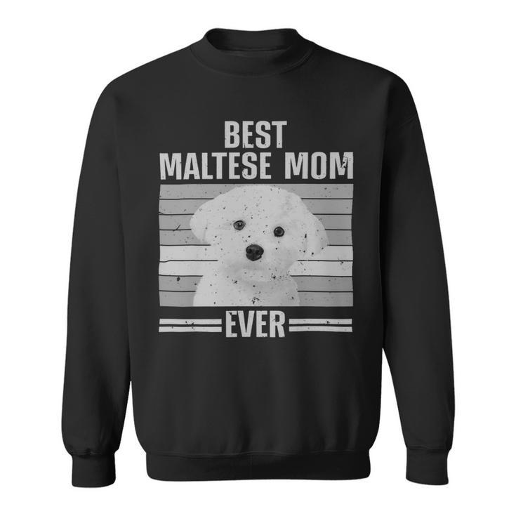 Dog Maltese Cool Maltese Mom For Women Girls Dog Groomer Dog Lover Owner 3 Sweatshirt