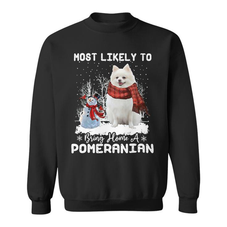 Dog Pomeranian Most Likely To Bring Home A Pomeranian Funny Xmas Dog Lover Sweatshirt