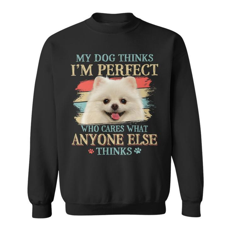 Dog Pomeranian My Dog Thinks Im Perfect Pomeranian Dog Retro Style Sweatshirt
