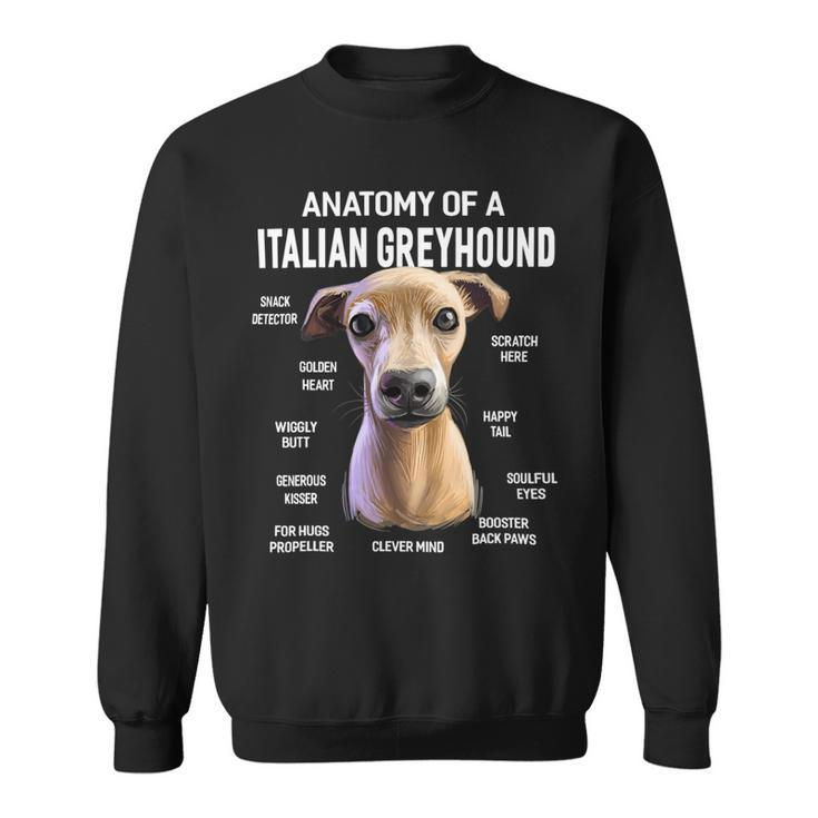 Dogs Anatomy Of A Italian Greyhound Dog Funny Gift Sweatshirt