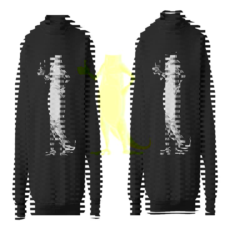 Easy Gecko Costume Gecko Body Headless Gecko Costume Sweatshirt