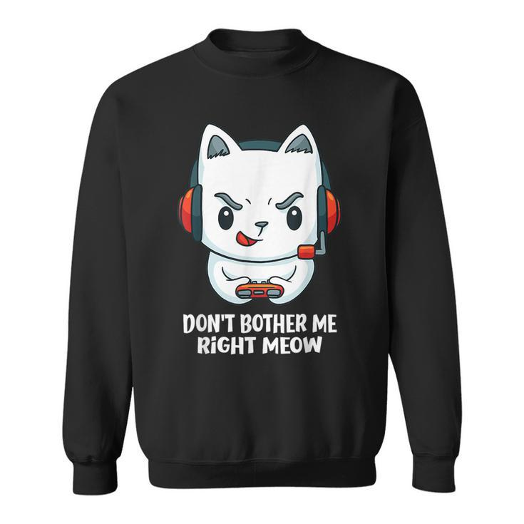 Cat Video Gamer Don't Bother Me Right Meow Boys Gits Sweatshirt