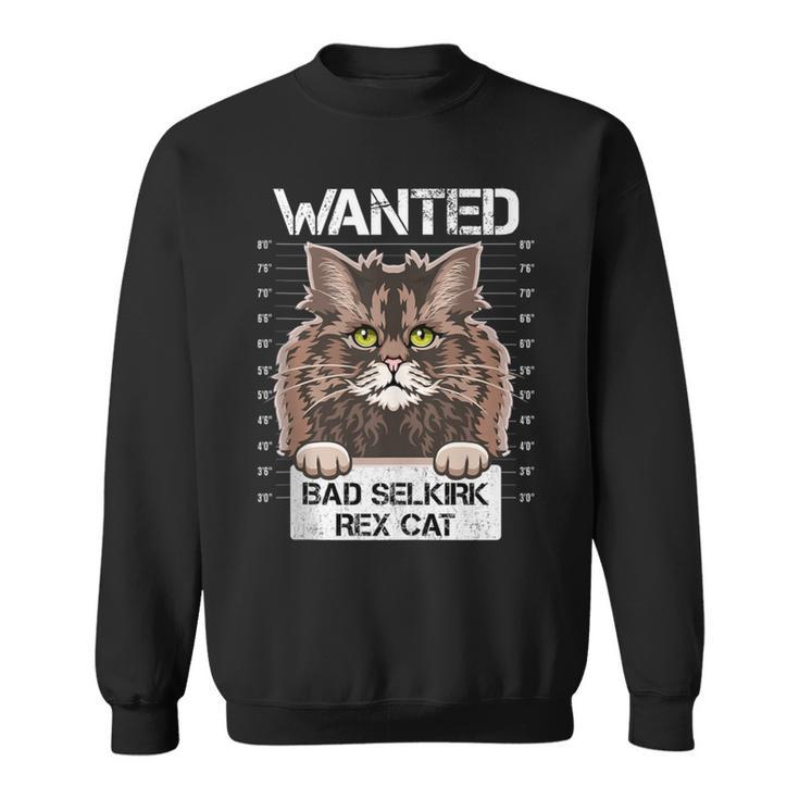 Kitten Kitty Owners Lovers Wanted Bad Selkirk Rex Cat Sweatshirt