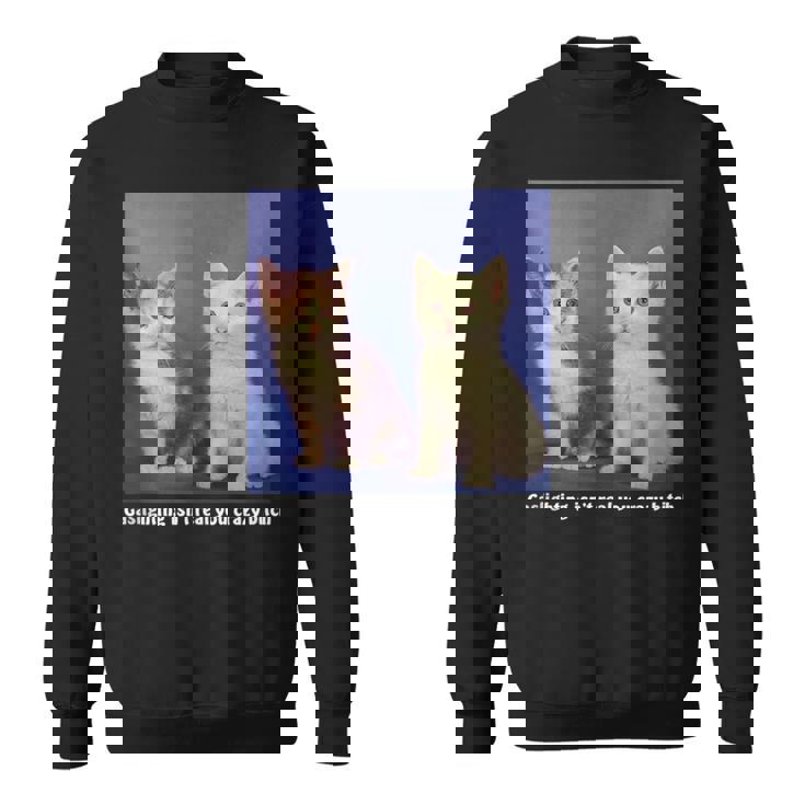 Gaslighting Isnt Real You Crazy BITCH Funny Cat Lover Gifts For Cat Lover Funny Gifts Sweatshirt Gaslighting Isnt Real You Crazy BITCH Funny Cat Lover Gifts For Cat Lover Funny Gifts Sweatshirt