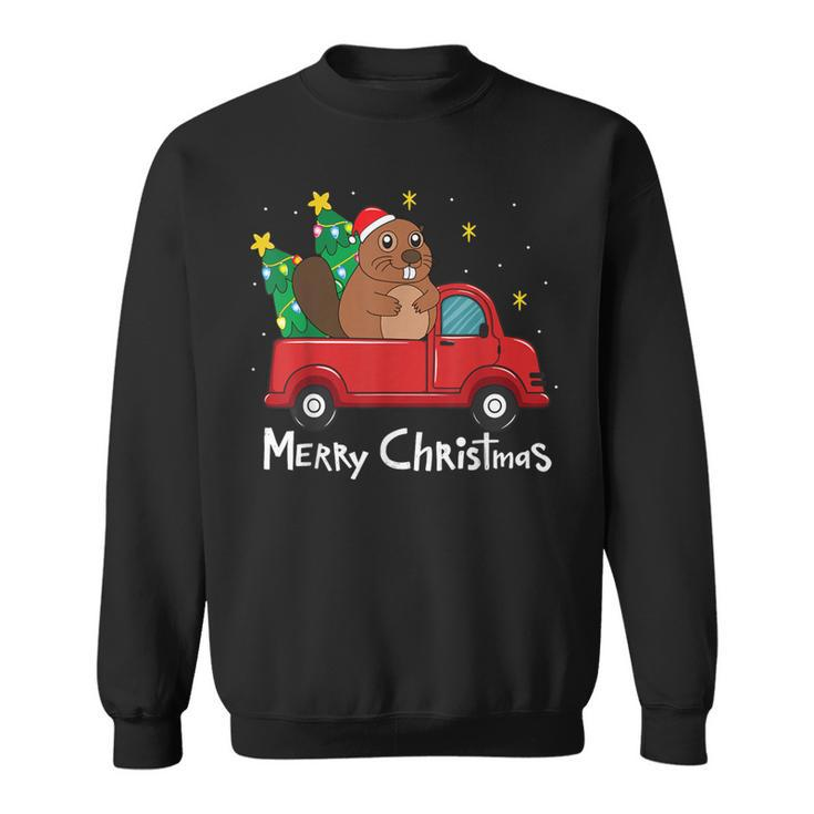 Groundhog Christmas Ornament Truck Tree Xmas Sweatshirt