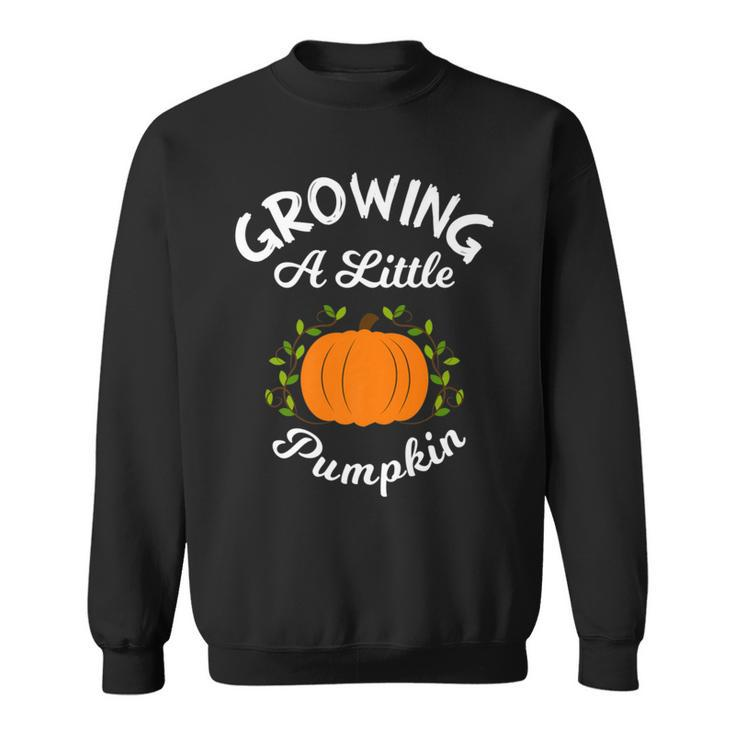 Growing A Little Pumpkin Thanksgiving Pregnancy Sweatshirt