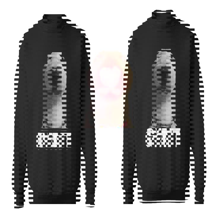 Gyatt Meme Damn Trend Reaction Cringe Gyatt Sweatshirt