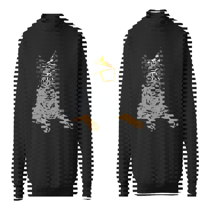 Heeler Australian Cattle Dog Lgbtq Gay Bear Flag Gay Pride Sweatshirt