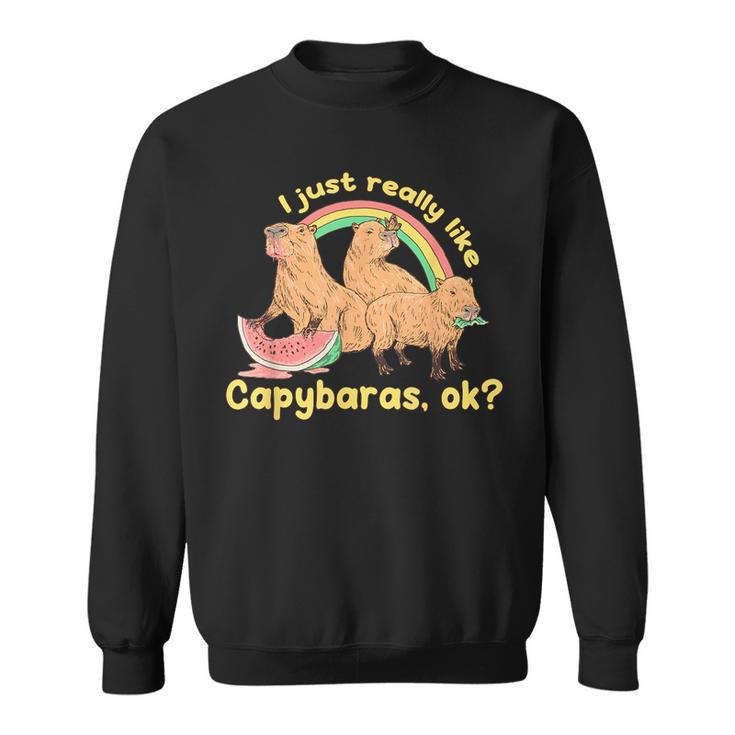 I Just Really Like Capybaras Ok Capybara Lover Funny  Sweatshirt