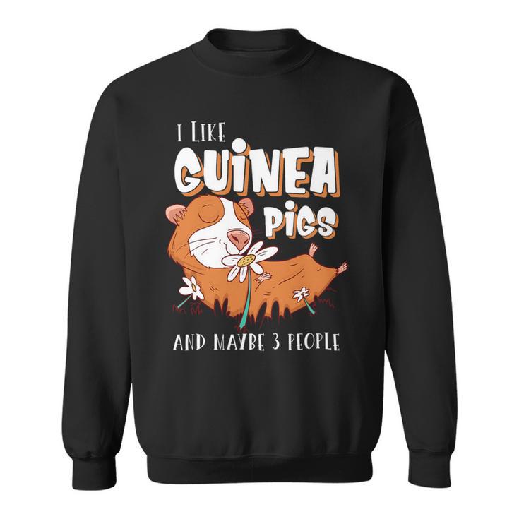 I Like Guinea Pigs And Maybe 3 People Design Rodent Lovers Sweatshirt