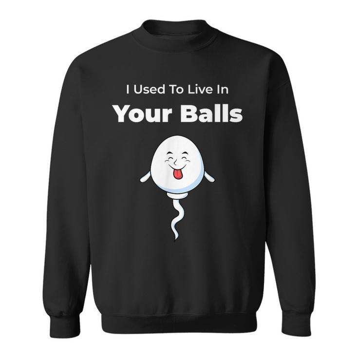 I Used To Live In Your Balls Funny Silly Fathers Day Sweatshirt