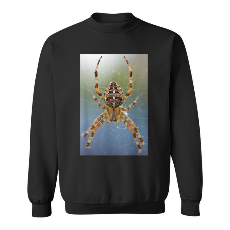 Long-Legged Spider In Webbing Scary Insect Colorful  Sweatshirt
