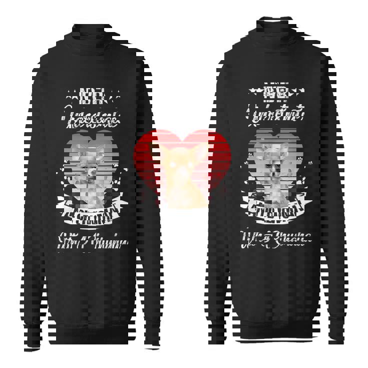 Never Underestimate An Old Woman With A Chihuahua Dog Lovers Old Woman Funny Gifts Sweatshirt
