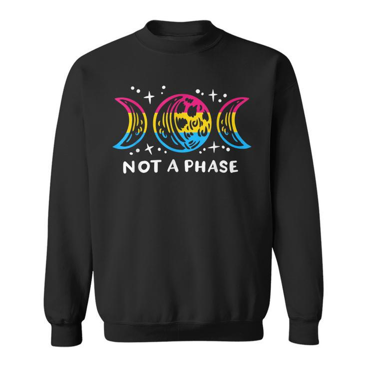 Pansexual Pride Funny Not A Phase Lunar Moon Omnisexual Lgbt Sweatshirt