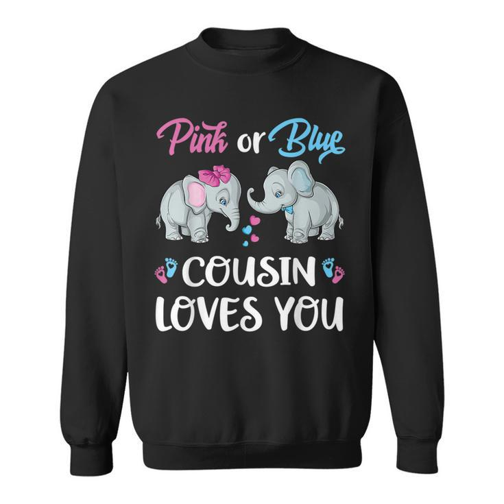 Pink Or Blue Cousin Loves You Elephants Gender Reveal Family  Sweatshirt
