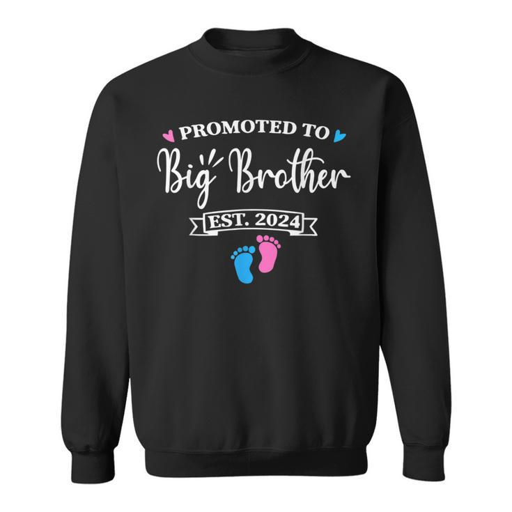 Promoted To Big Brother Est 2024 Pink Or Blue Bro Love You  Sweatshirt