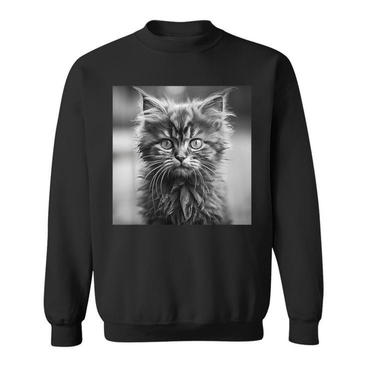 Selkirk Rex Cat Cinematic Black And White Photography Sweatshirt