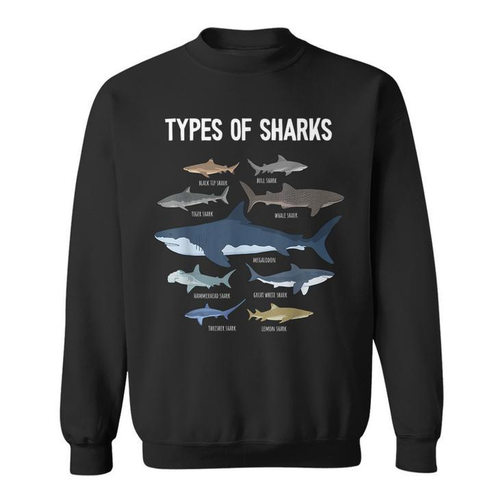 Shark Lover Types Of Sharks Kinds Of Sharks Shark Sweatshirt
