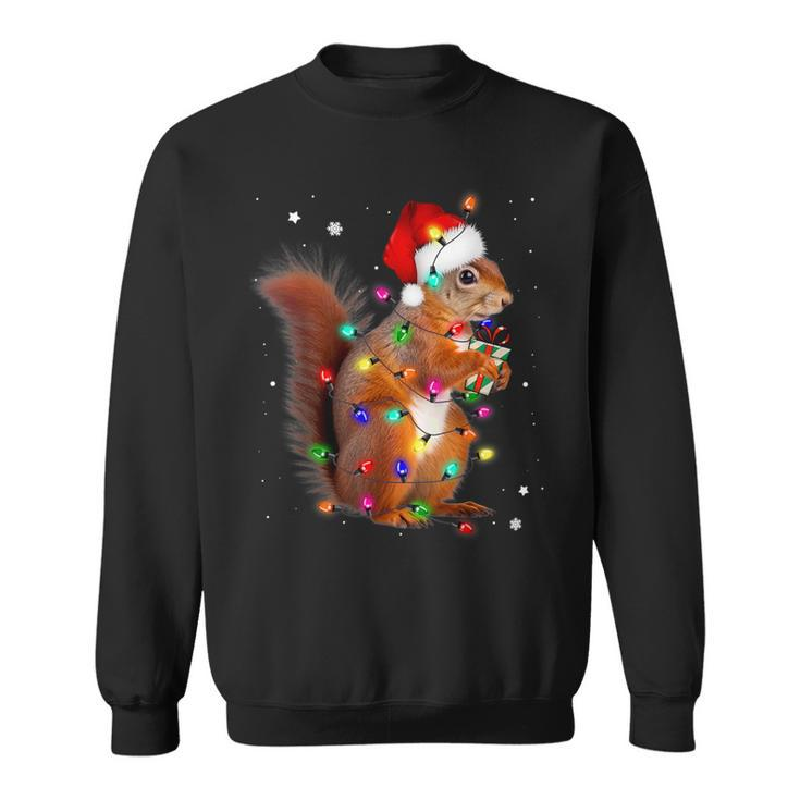 Squirrel Christmas Hat Santa Pajama Squirrels Lover Xmas Sweatshirt