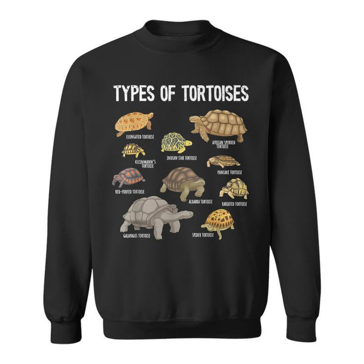 Tortoise Lover Types Of Tortoises Turtle Tortoise Sweatshirt