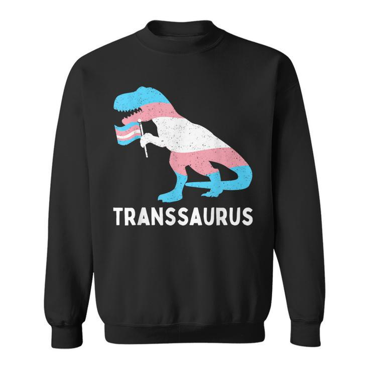 Trans Pride Flag Transgender Dino Transsaurus Rex Dinosaur  Sweatshirt