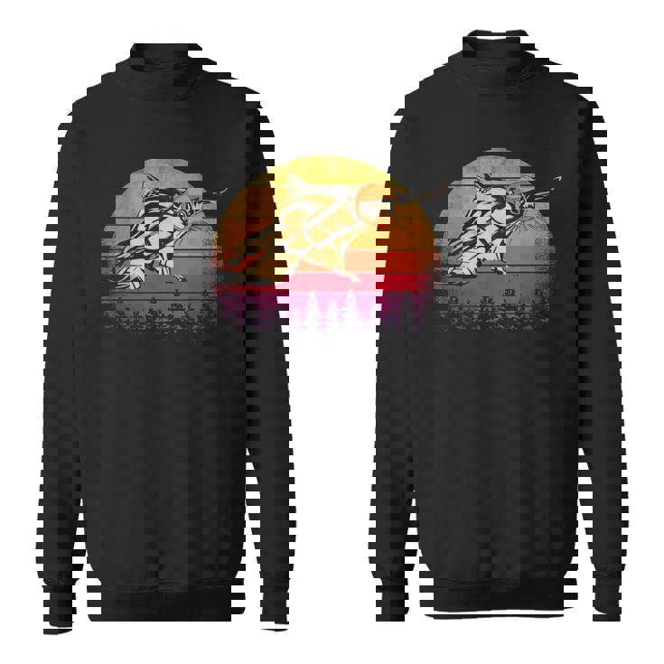 Vintage Sunset Squirrel Flying On Retro Sweatshirt