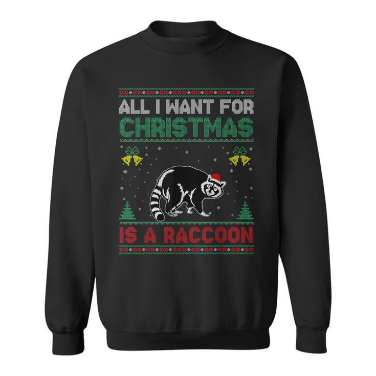 All I Want For Christmas Is A Raccoon Ugly Sweater Sweatshirt
