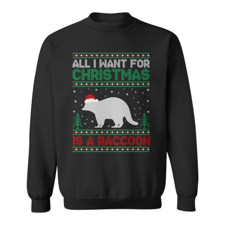 All I Want For Xmas Is A Raccoon Ugly Christmas Sweater Sweatshirt