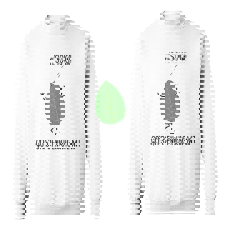 Funny Quotes Of Encourage Mint Motivational Puns Jokes Humor Sweatshirt