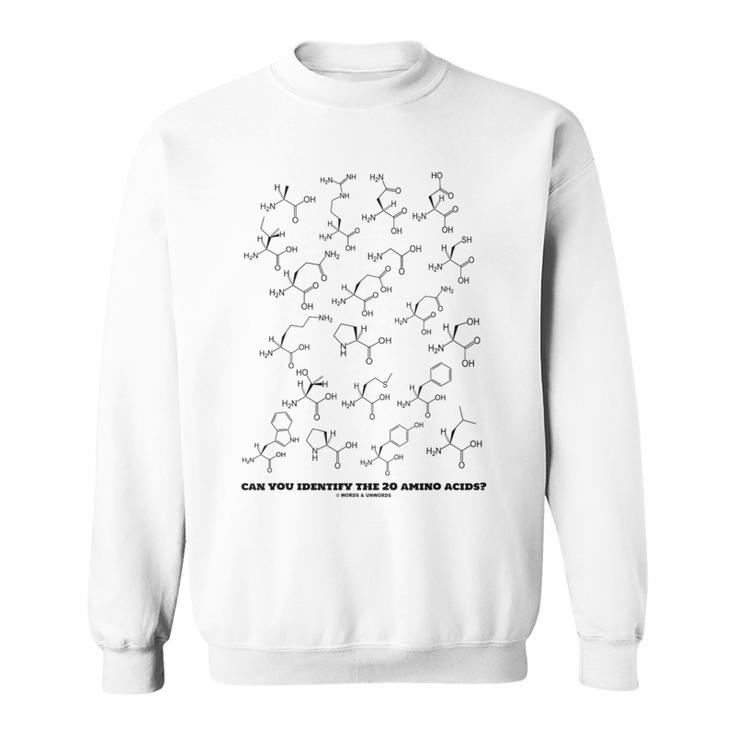 Can You Identify The 20 Amino Acids Chemistry Biochemistry Sweatshirt