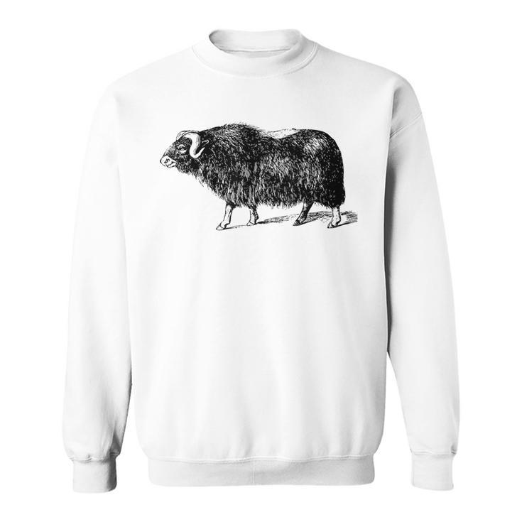 Musk Ox Arctic Buffalo Muskox Bovidae Sweatshirt
