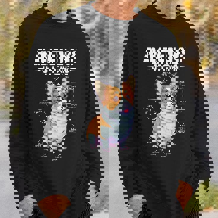 Anatomy Of A Corgi Cute Corgis Costume Corgi Lovers Corgis Sweatshirt Gifts for Him