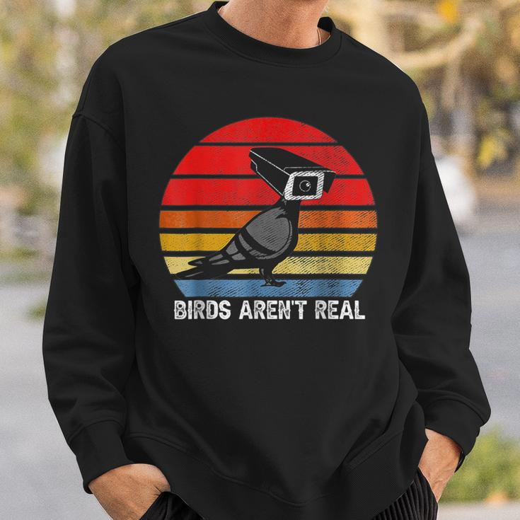 Birds Are Not Real Retro Funny Bird Watching Spies Bird Watching Funny Gifts Sweatshirt Gifts for Him