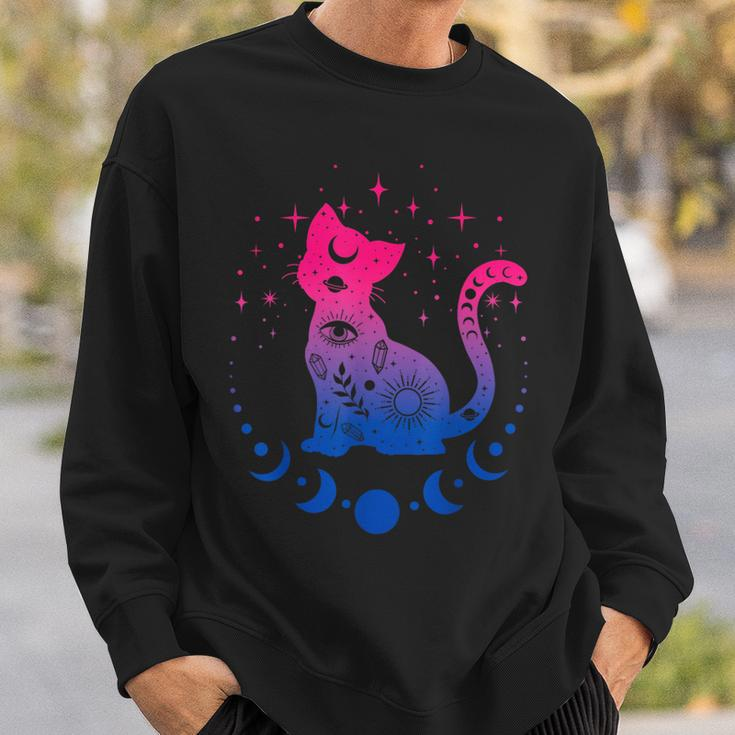 Bisexual Pride Flag Colors Astronomy Cat Sweatshirt Gifts for Him