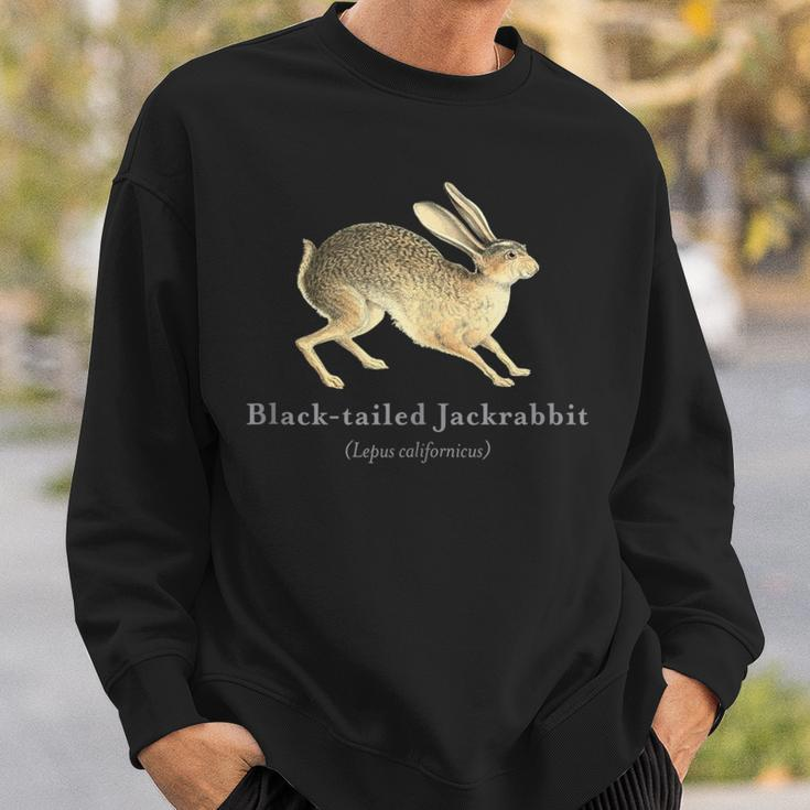 Black-Tailed Jackrabbit Portrait With Scientific Name Sweatshirt Gifts for Him