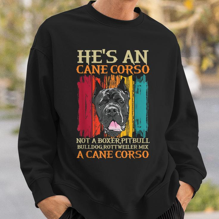 Cane Corso For A Cane Corso Owner Cane Corso Breeder Sweatshirt Gifts for Him