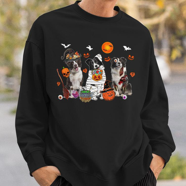 Dog Border Collie Three Border Collie Dogs Witch Scary Mummy Halloween Zombie Sweatshirt Gifts for Him