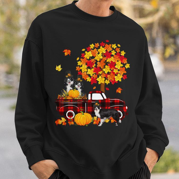 Dog Border Collie Three Border Collies On Pickup Truck Thanksgiving Fall Tree Sweatshirt Gifts for Him