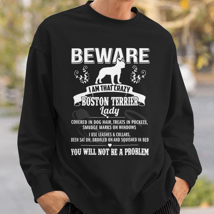 Dog Boston Terrier Beware Crazy Boston Terrier Dog Lady Funny Puppy Lover Sweatshirt Gifts for Him