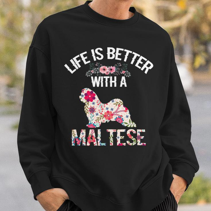 Dog Maltese Cute Funny Dog Gifts Ideas Life Is Better With A Maltese Sweatshirt Gifts for Him