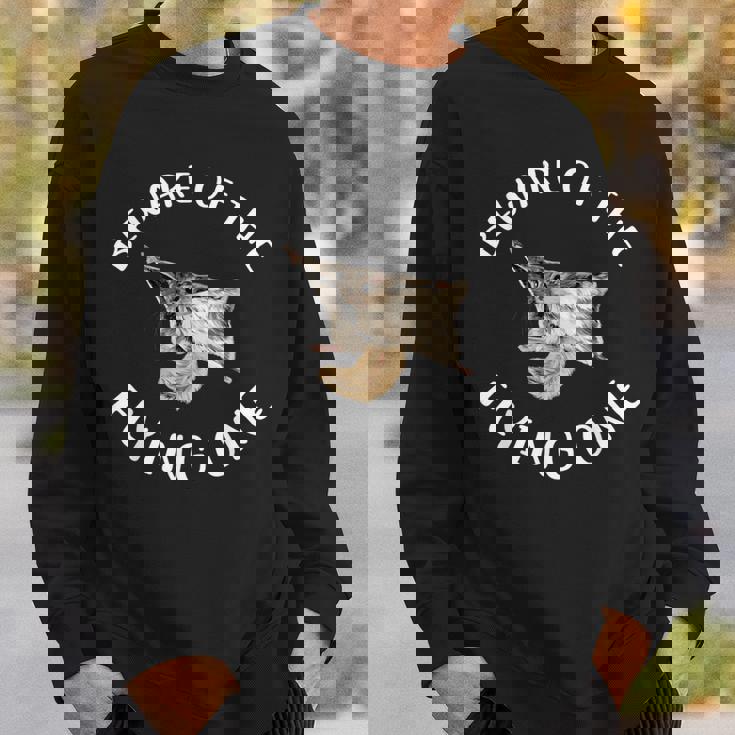 Beware Of The Flying Squirrel Apparel Sweatshirt Gifts for Him