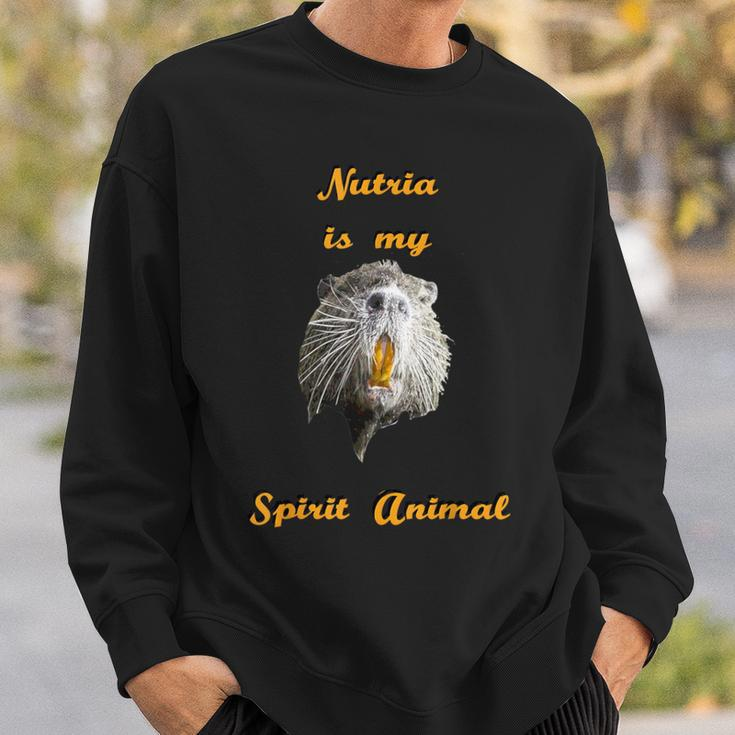 Cajun Louisiana Nutria Rat Spirit Animal Sweatshirt Gifts for Him