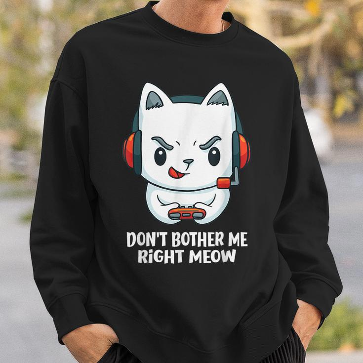Cat Video Gamer Don't Bother Me Right Meow Boys Gits Sweatshirt Gifts for Him