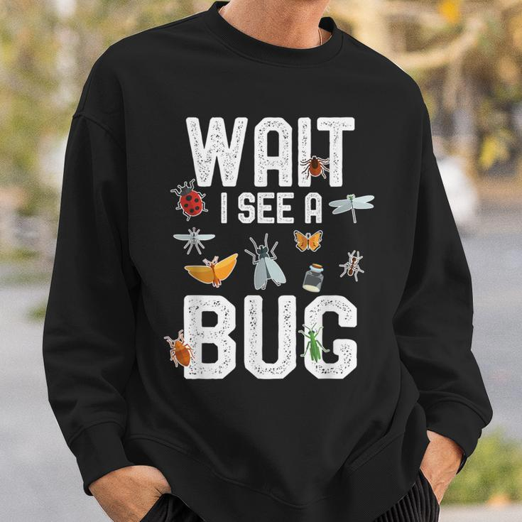 Entomologist Sayings Wait I See A Bug Entomology Sweatshirt Gifts for Him