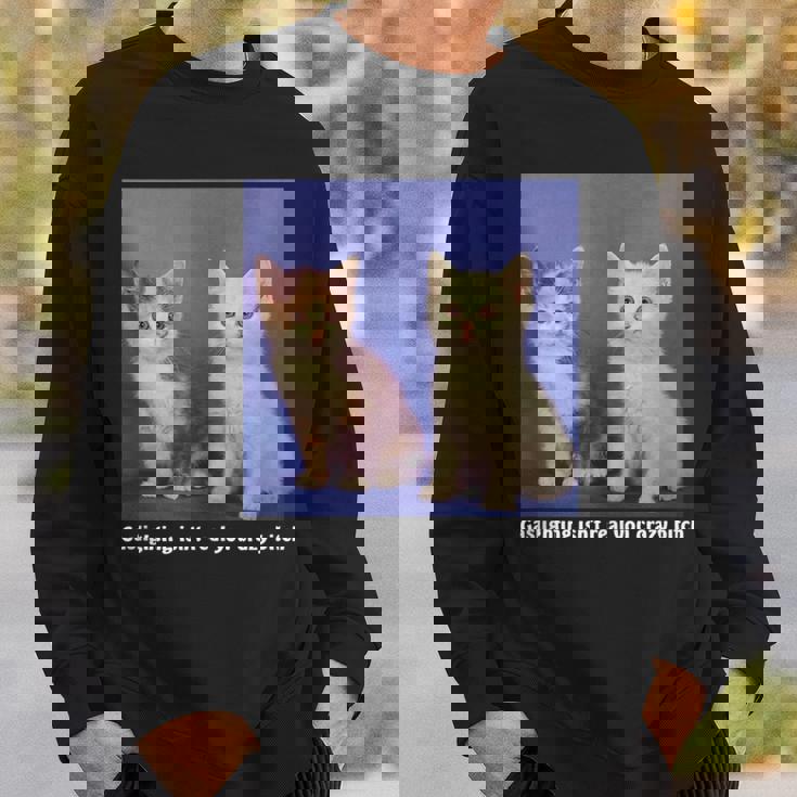 Gaslighting Isnt Real You Crazy BITCH Funny Cat Lover Gifts For Cat Lover Funny Gifts Sweatshirt Gifts for Him Gaslighting Isnt Real You Crazy BITCH Funny Cat Lover Gifts For Cat Lover Funny Gifts Sweatshirt Gifts for Him