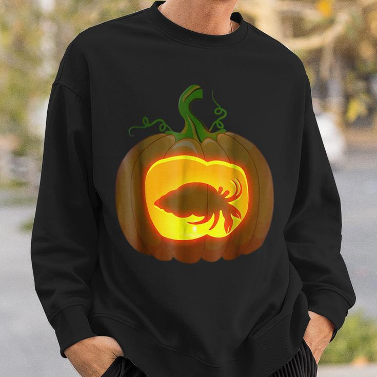 Hermit Crab Halloween Gifts For Hermit Crab Lovers Funny Gifts Sweatshirt Gifts for Him